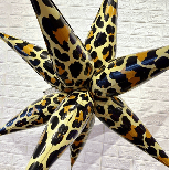 40" Leopard Starburst
